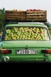 Apple Car